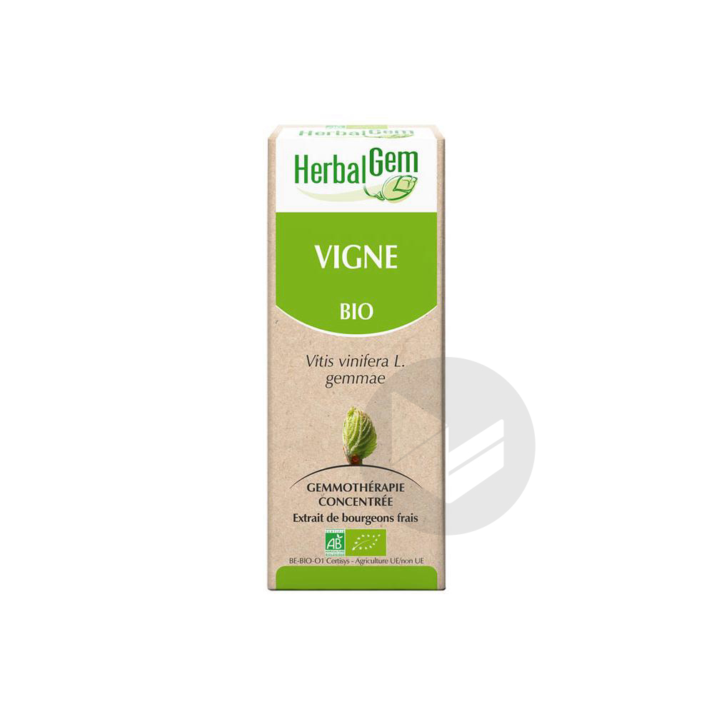 HerbalGem Bio Vigne 30 ml