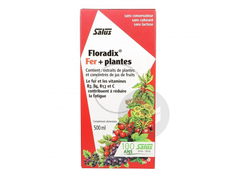 Floradix - Fer + Plantes - 500 ml