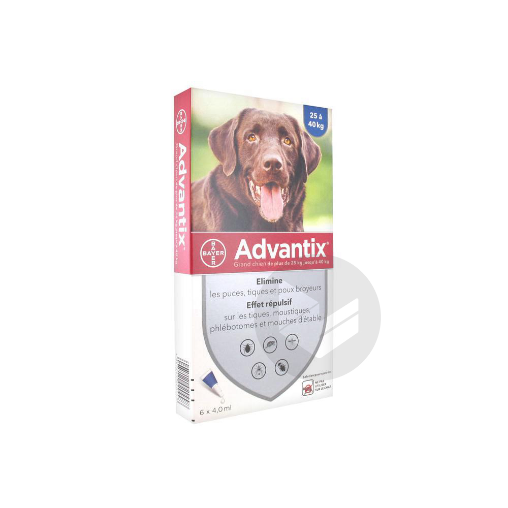 ADVANTIX S ext grand chien 25-40kg 6Pipettes/4ml