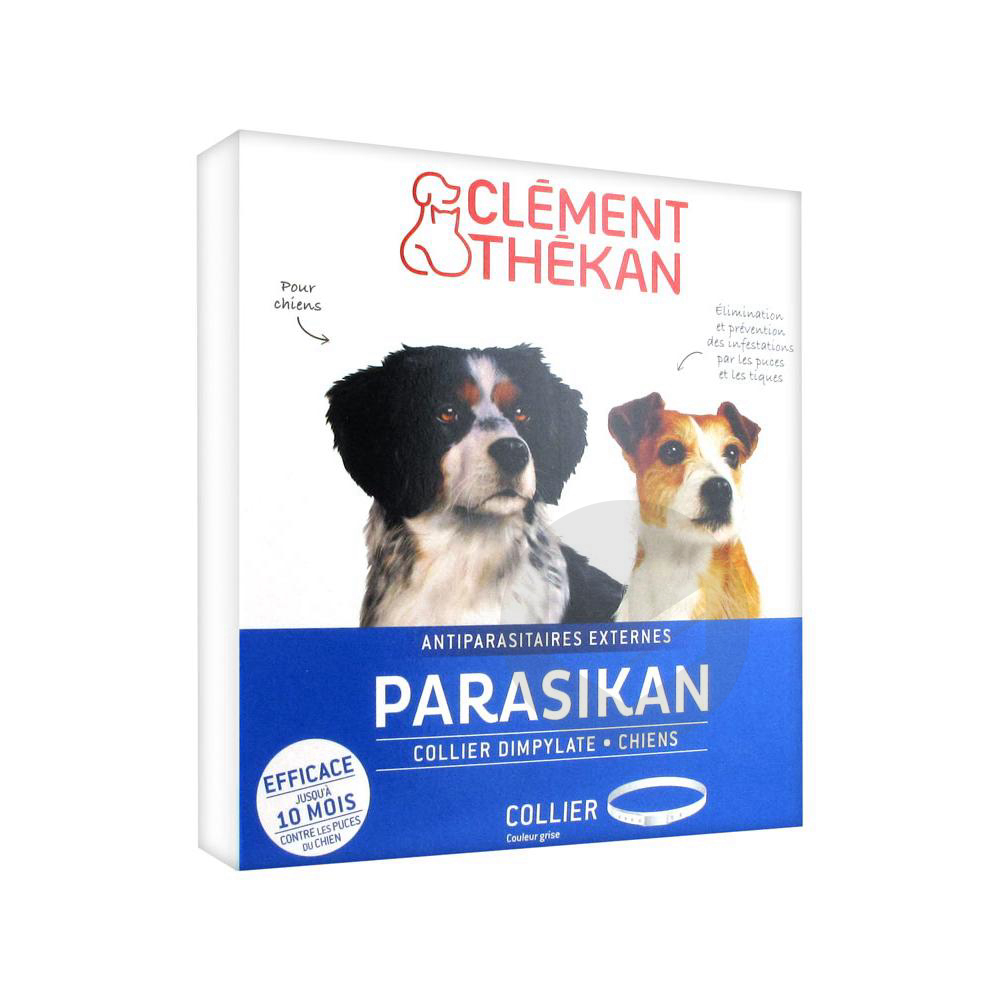PARASIKAN Collier chien B/1