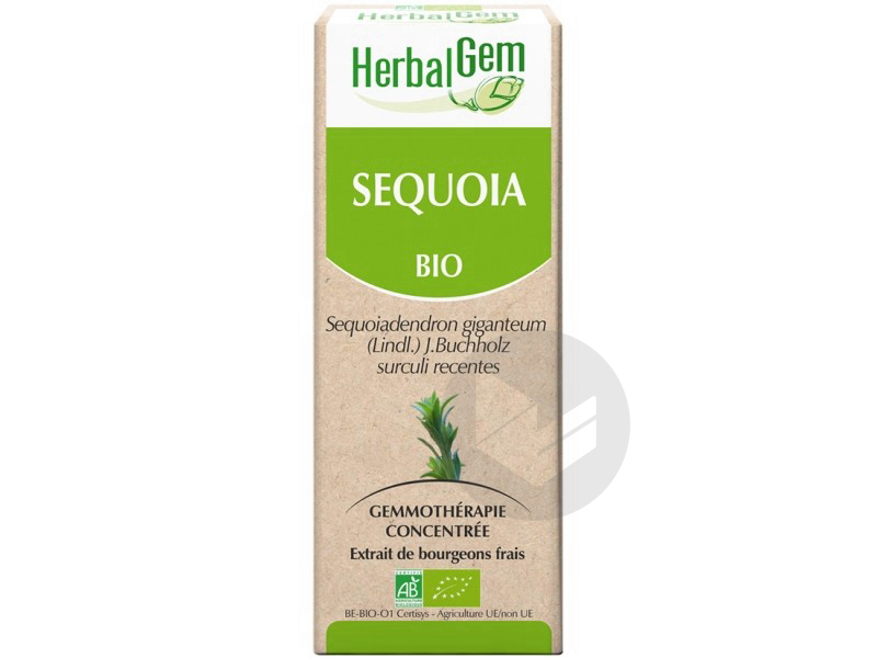 Sequoia bourgeons bio - 15 ml