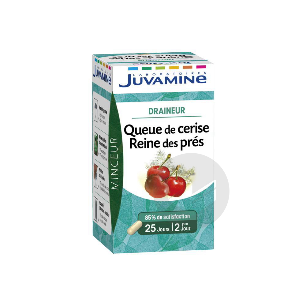 Juvamine Phyto Queue de Cerise Reine des Prés 50 Gélules