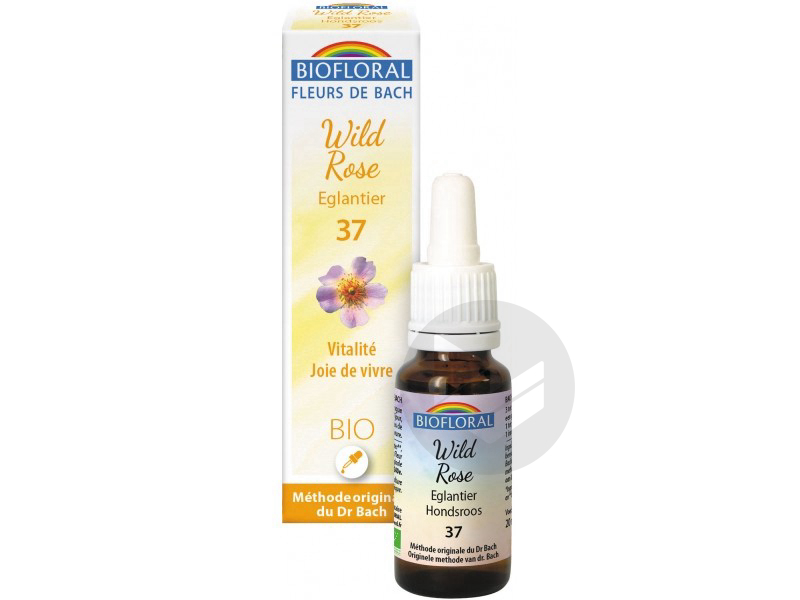 Fleur de Bach Wild Rose N°37 - 20 ml