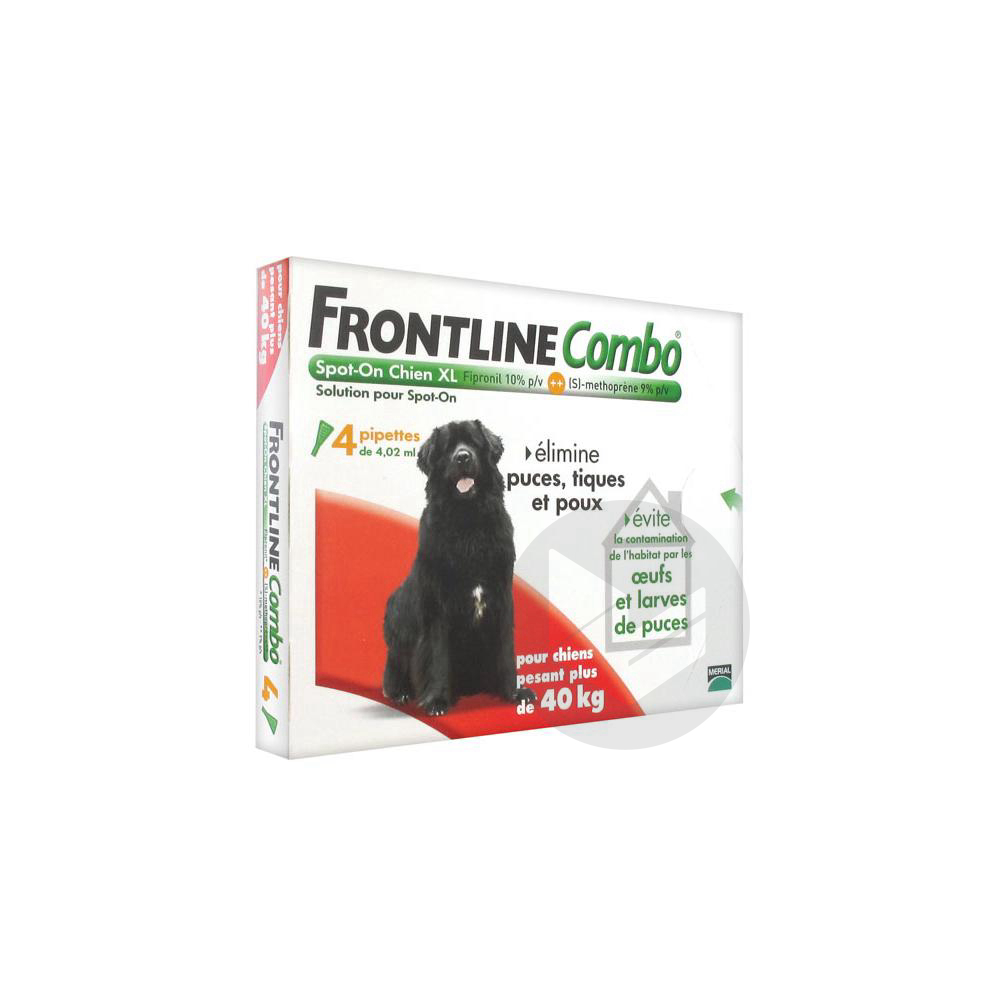 FRONTLINE COMBO S ext chien 40-60kg 4Doses