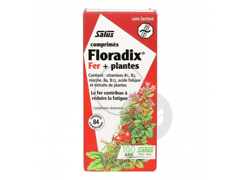Floradix Fer + Plantes - 84 comprimés