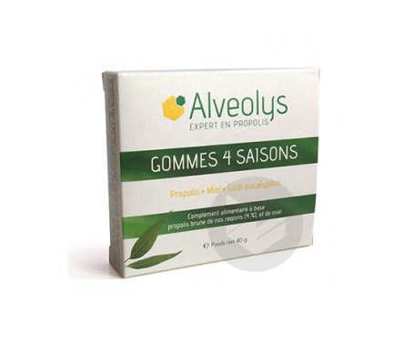 Gommes 4 Saisons Gout Miel 40g