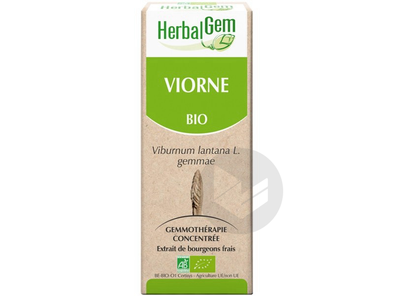 Viorne bourgeons bio - 15 ml