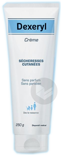 Dexeryl Crème Sécheresses Cutanées 250g