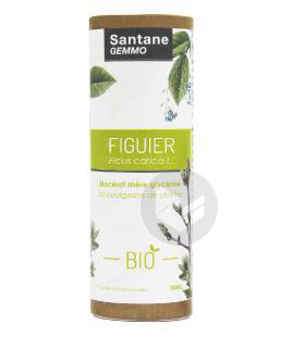 Santane Gemmo figuier