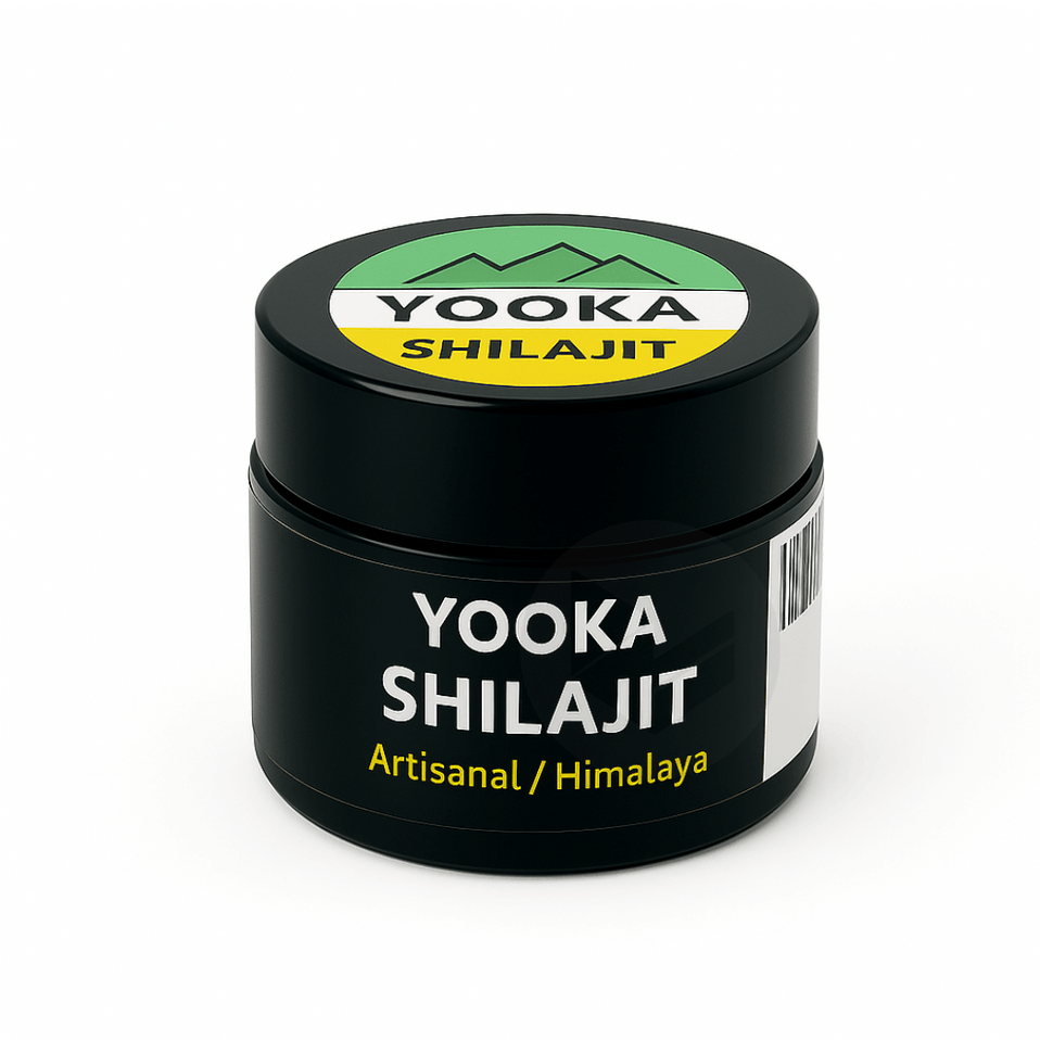 Résine de Shilajit naturel 15g