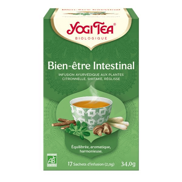 Bien-être Intestinal 17 sachets