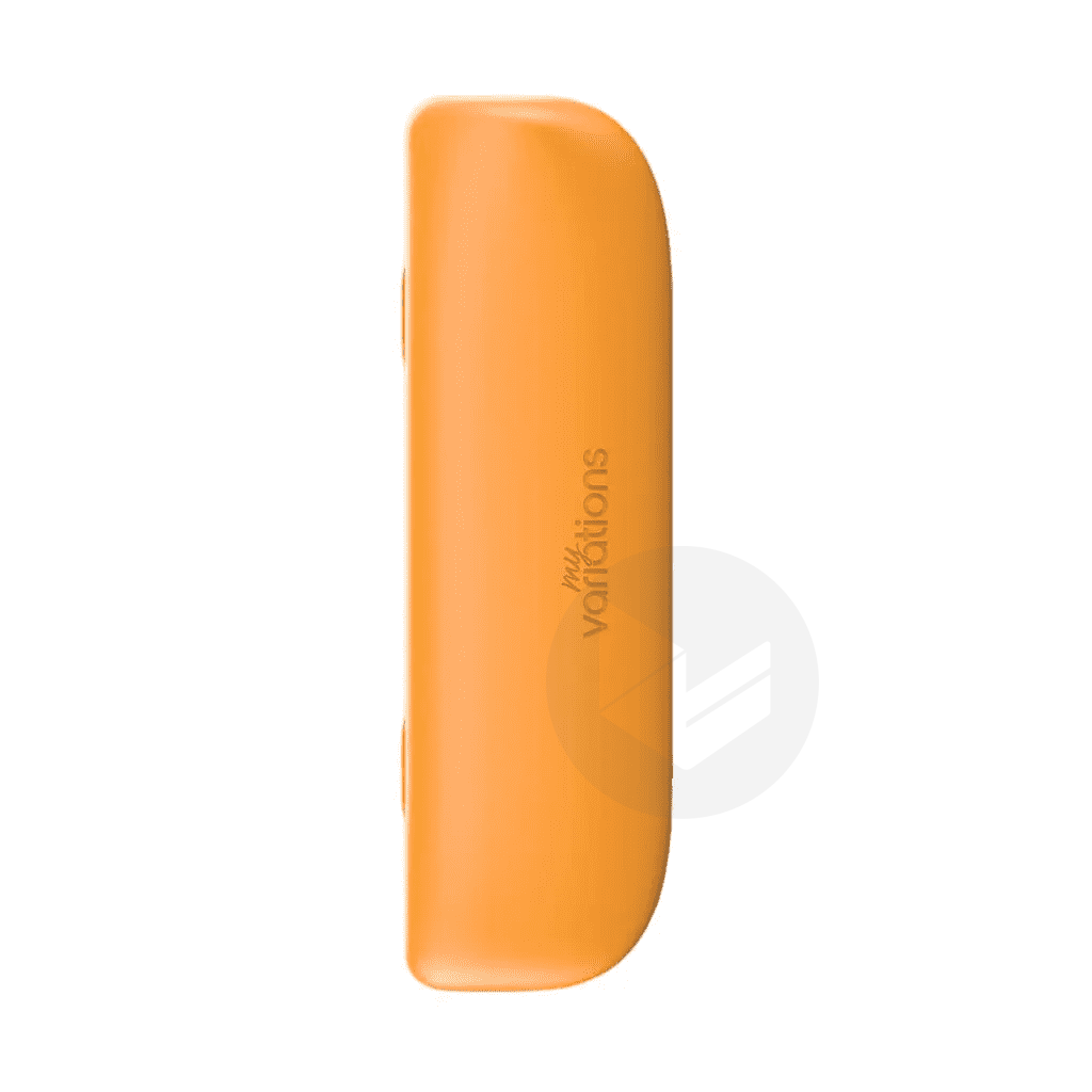 Etui de Voyage Tigre