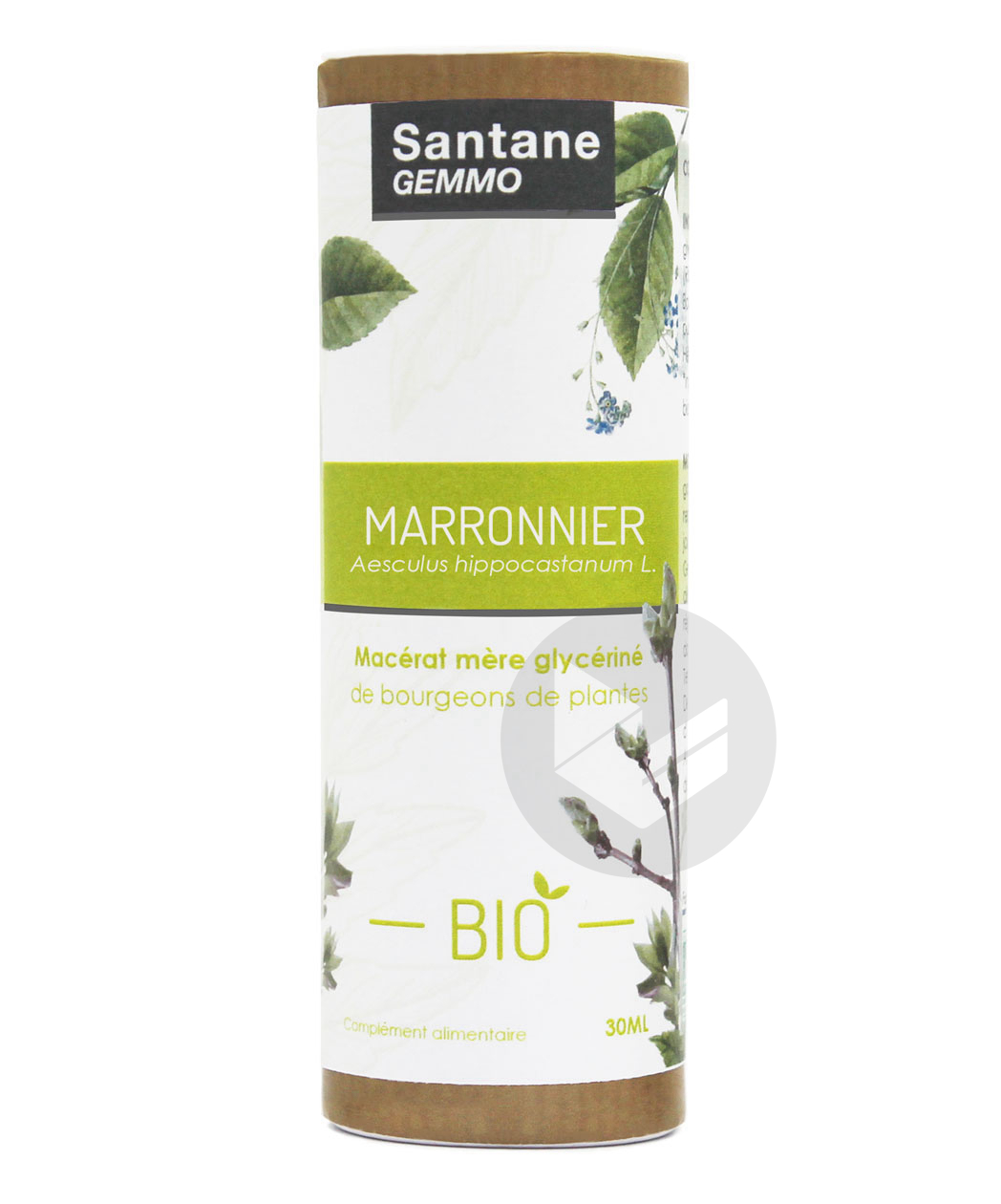 Santane Gemmo marronnier
