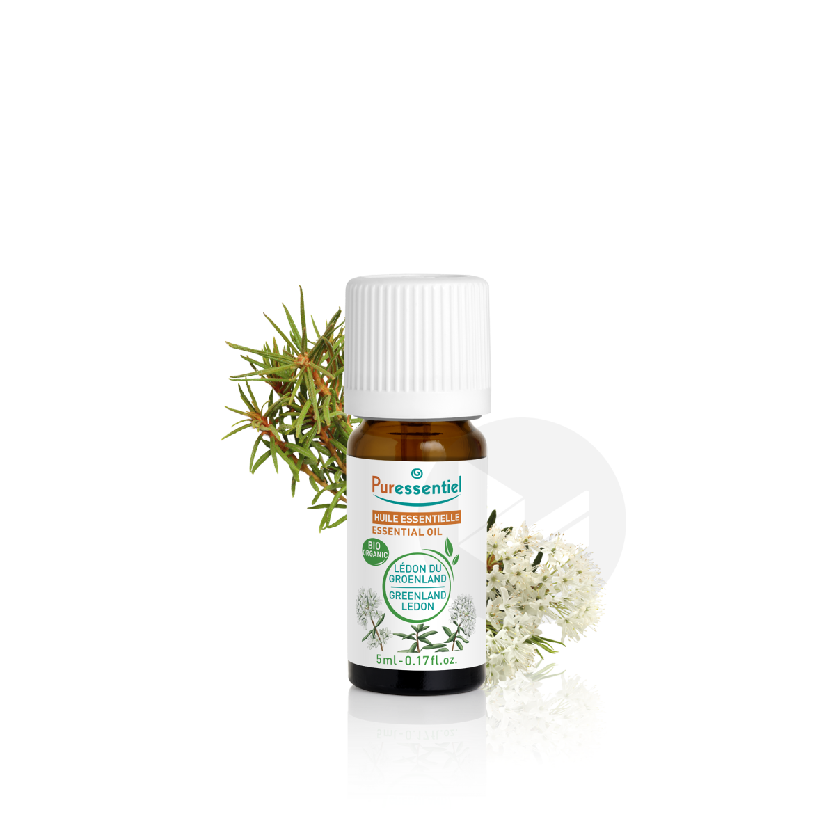 Huile Essentielle Lédon du Groenland BIO 5ml
