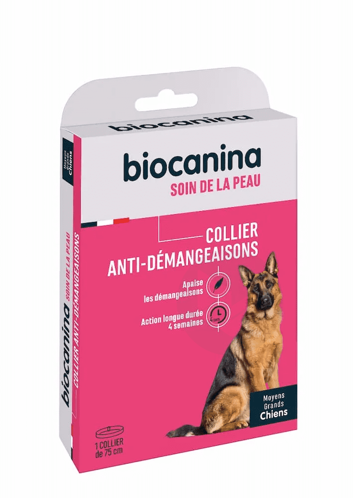 Collier Anti-Démangeaisons Chien Grand Modèle
