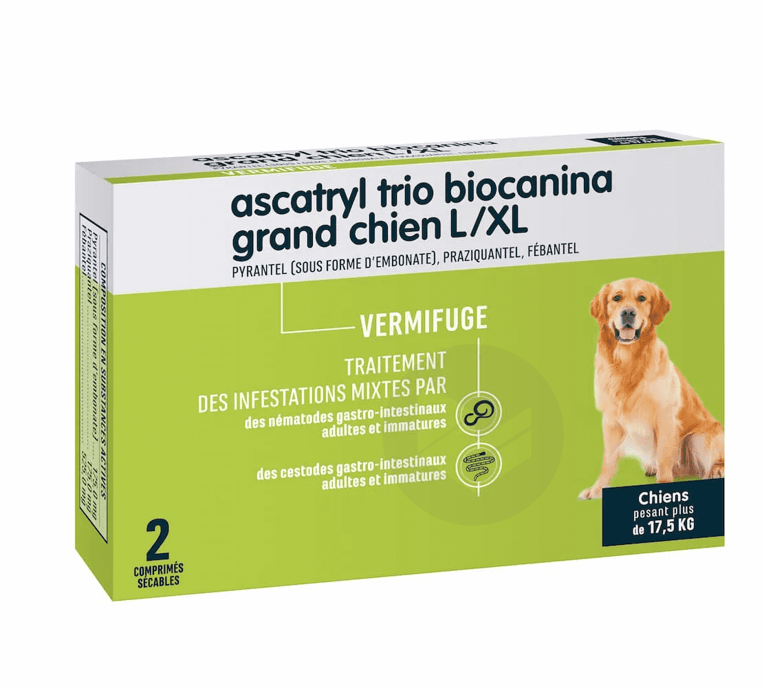 ASCATRYL TRIO L/XL 2 Comprimés