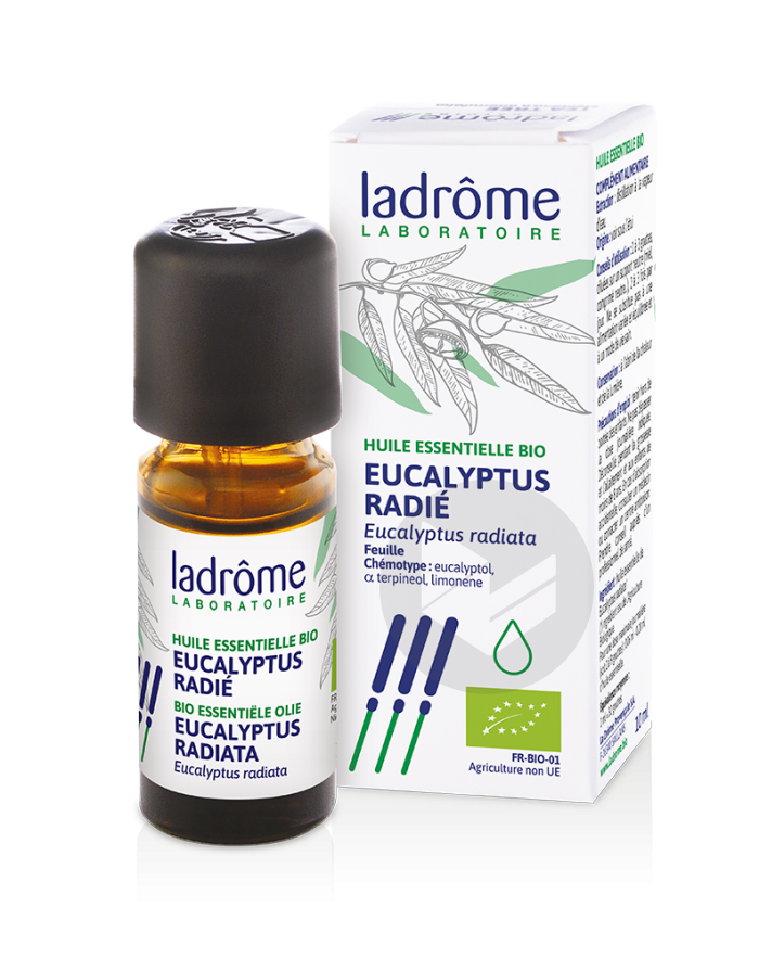 Huile essentielle bio Eucalyptus radié