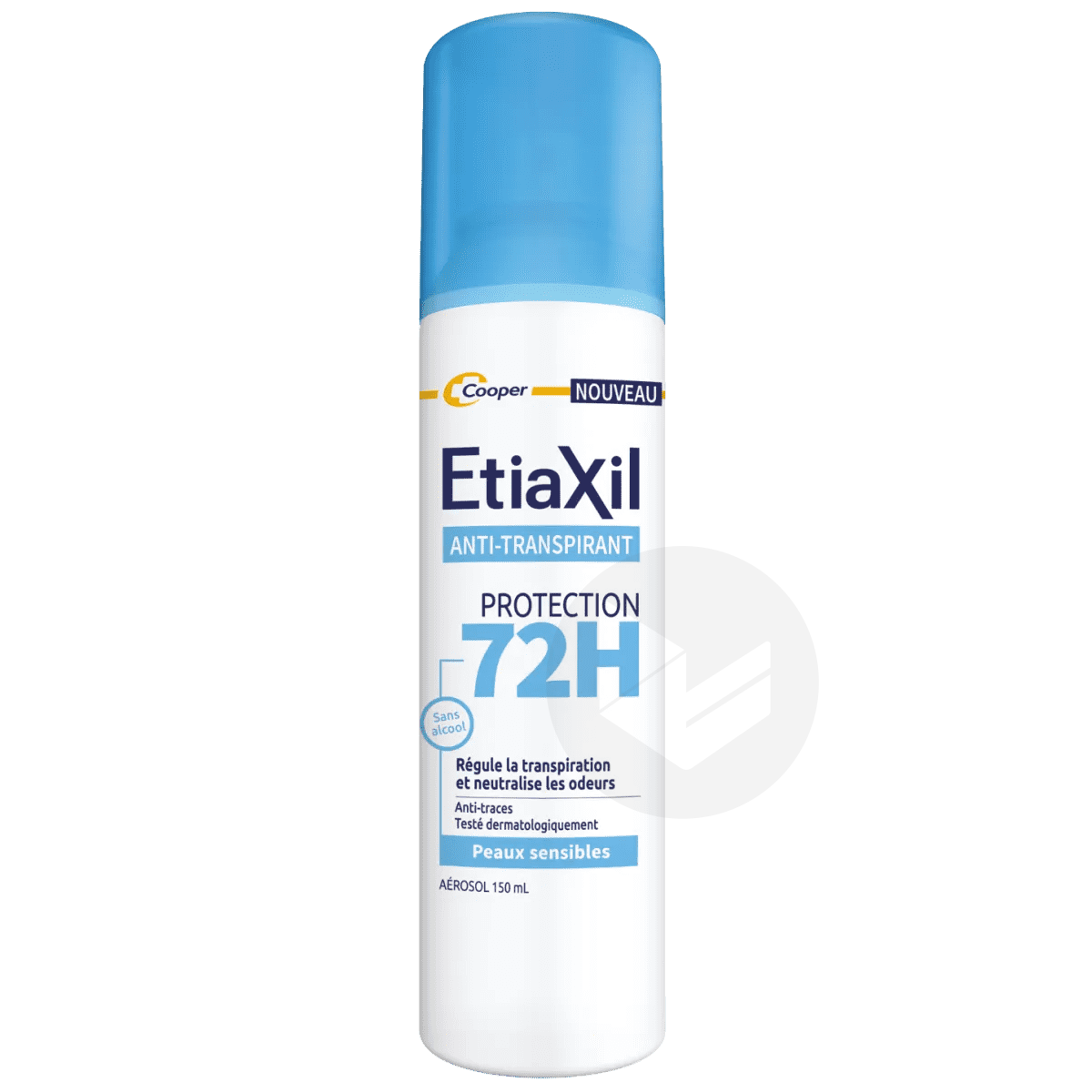 Anti-transpirant Aérosol Protection 72H 150ml