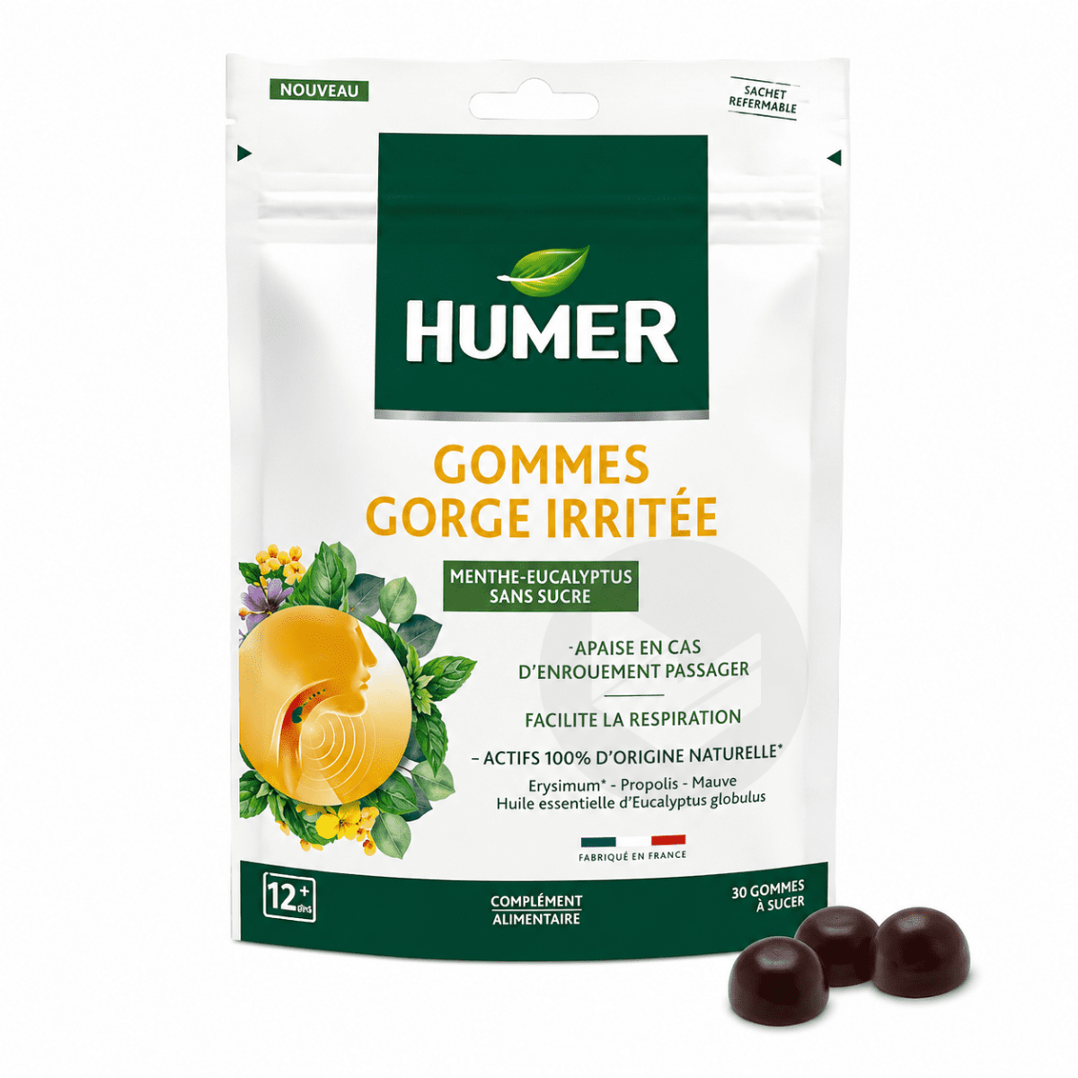 Gommes Gorge Irritée Menthe Eucalyptus x30