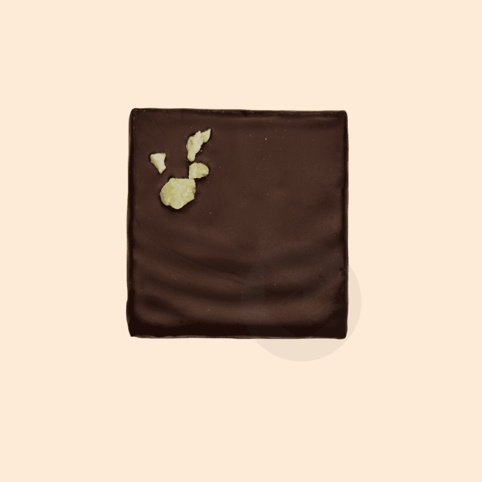 Chocolats à la pistache et à la crinière de lion 20g