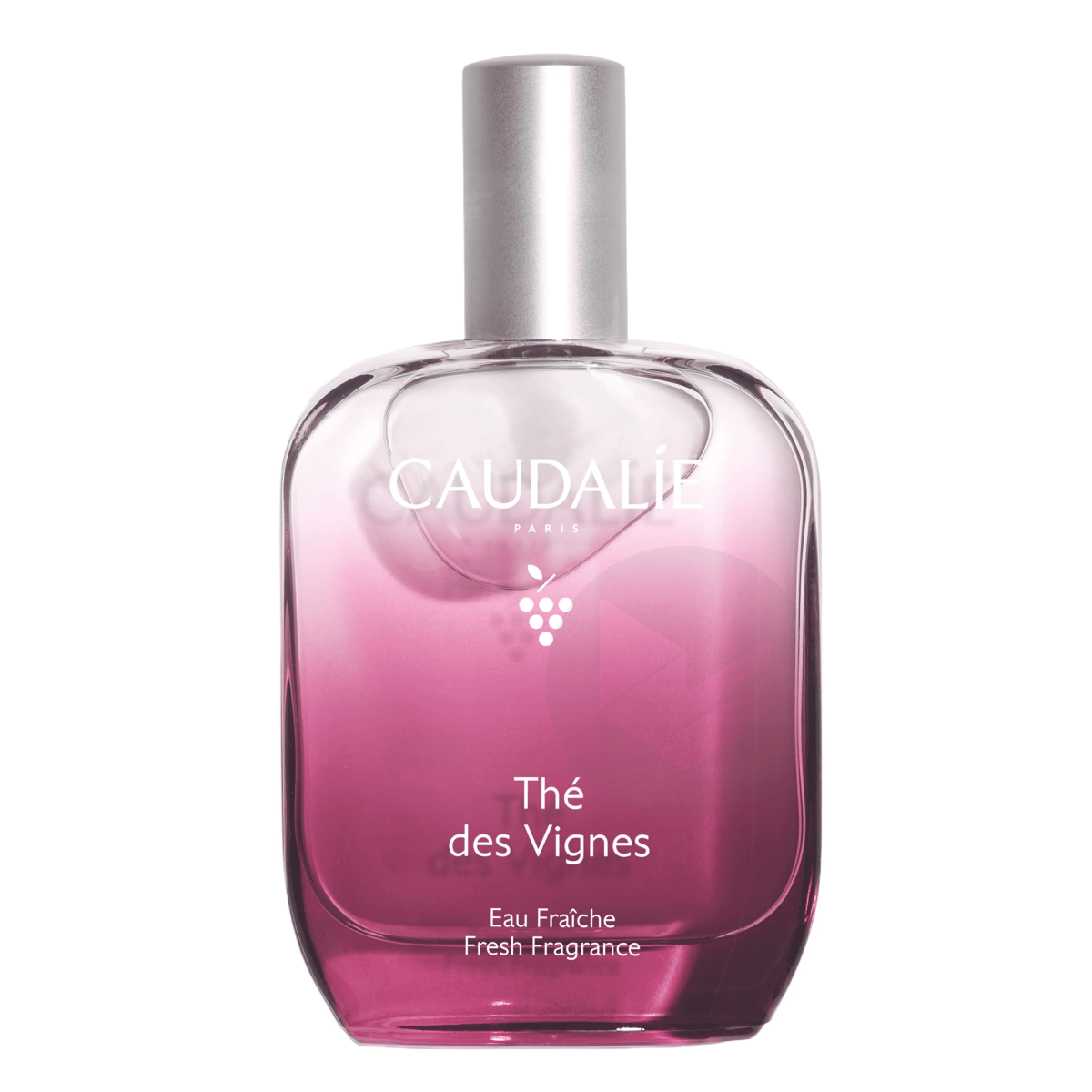 Eau Fraîche Thé des Vignes 50ml