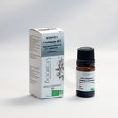 Huile essentielle biologique Romarin à verbénone 5ml