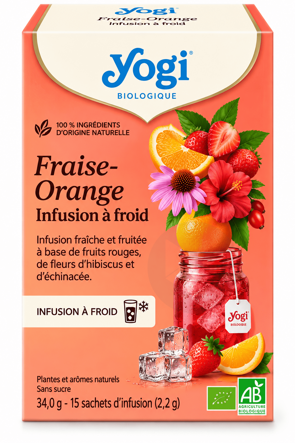 Infusion à Froid Fraise-Orange BIO 15 sachets