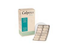 CALPEROS 500 mg Comprimé à sucer sécable (Plaquette de 60)