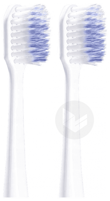 Sonic Daily 2 Têtes de Brosse Souple 4110