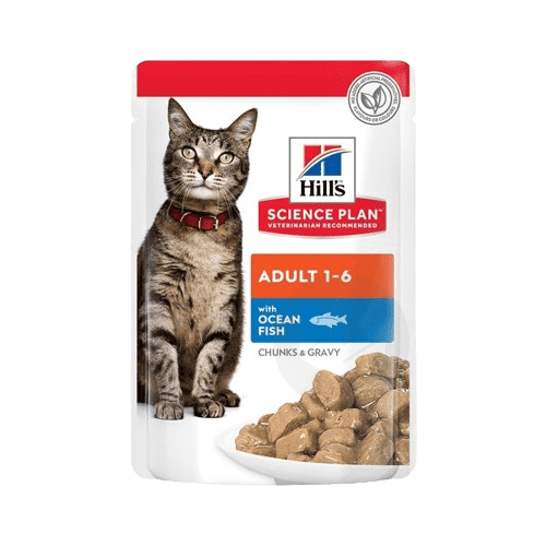 Chat Adult poisson 85g