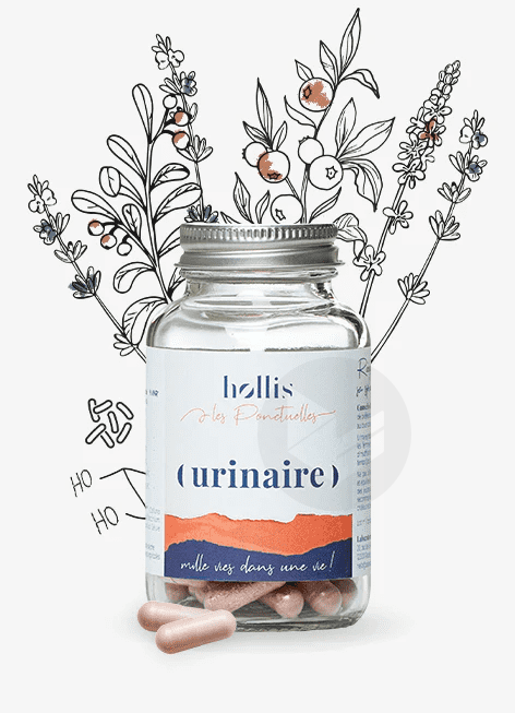 Urinaire 60 gélules