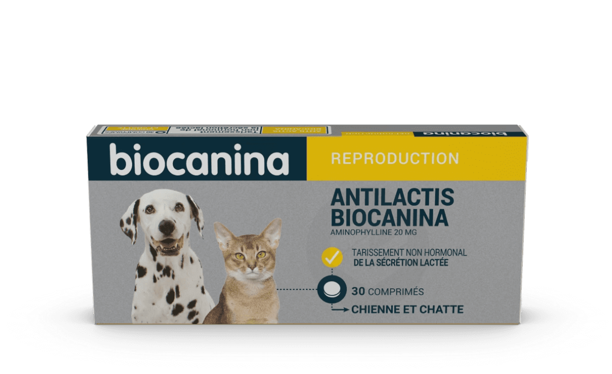 ANTILACTIS 20mg 30 comprimés