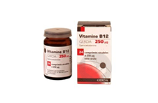VITAMINE B12 GERDA 250 µg Comprimé sécable (Flacon de 24)