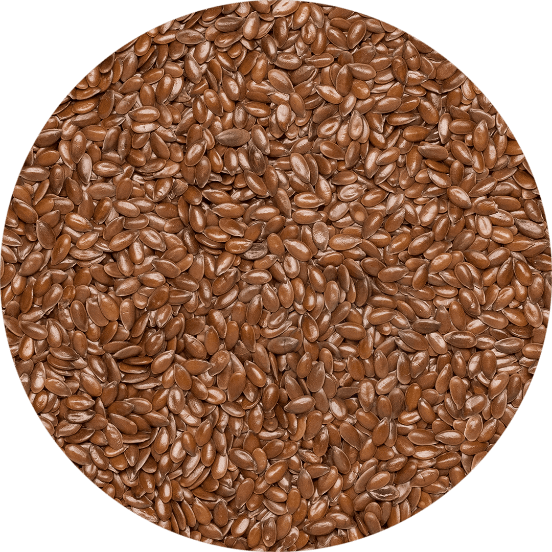 Graines de lin brun en vrac bio 25kg