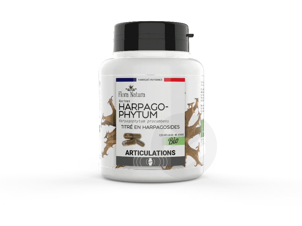 Harpagophytum BIO 120 gélules