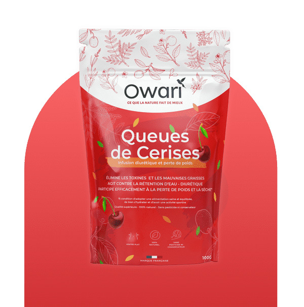 Queues de cerise 100g