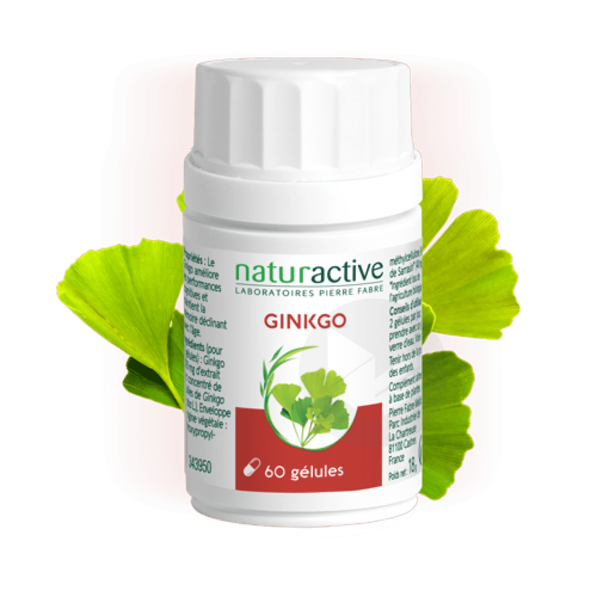 Ginkgo 60 Gélules