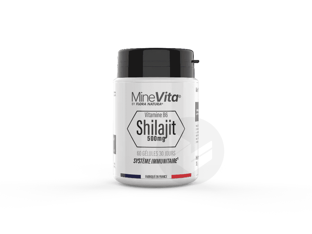 Shilajit 1000 mg 60 gélules