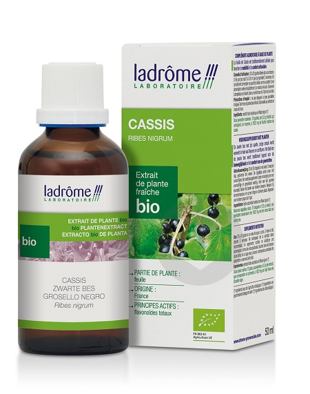 Cassis-Extrait de plante fraiche bio