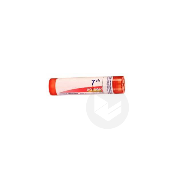 Nux vomica granules 7ch 4g