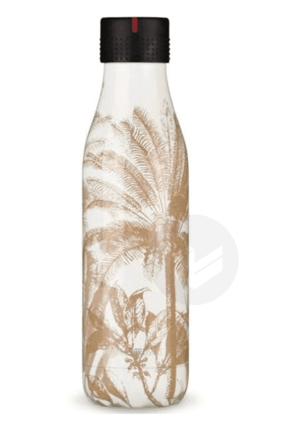 Bouteille isotherme Indian 500ml