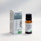 Huile essentielle biologique Eucalyptus radiata 10ml