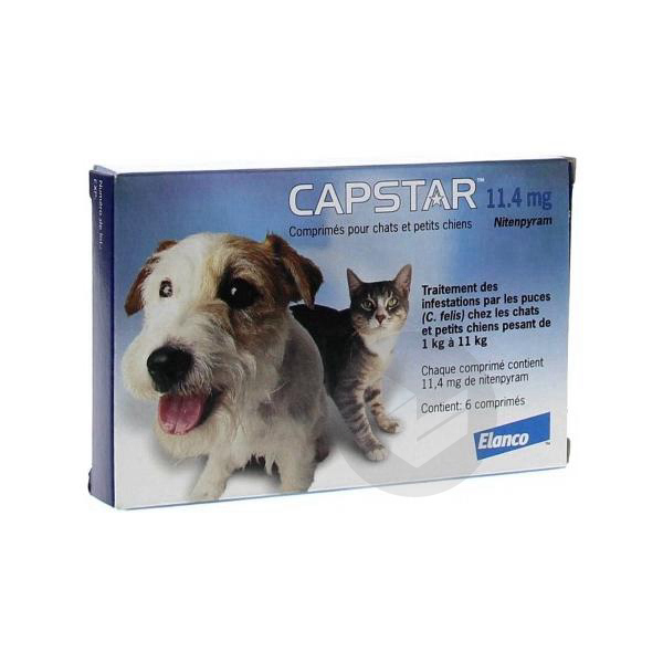 CAPSTAR 11,4mg Cpr chien chat 1-11kg B/6