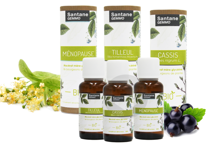 Santane Gemmo cassis