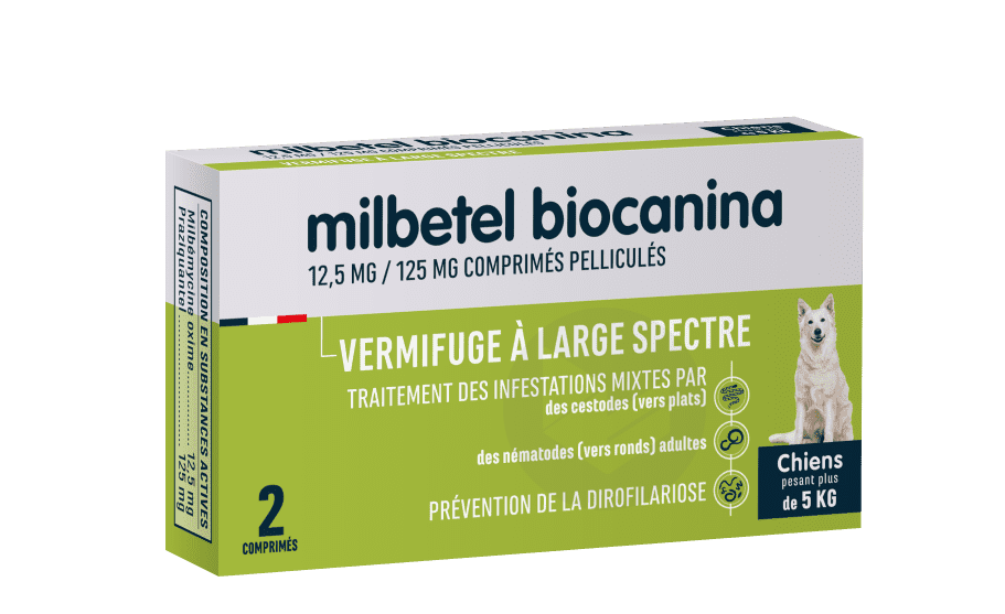 MILBETEL 12,5 MG / 125 MG 2 COMPRIMES PELLICULES