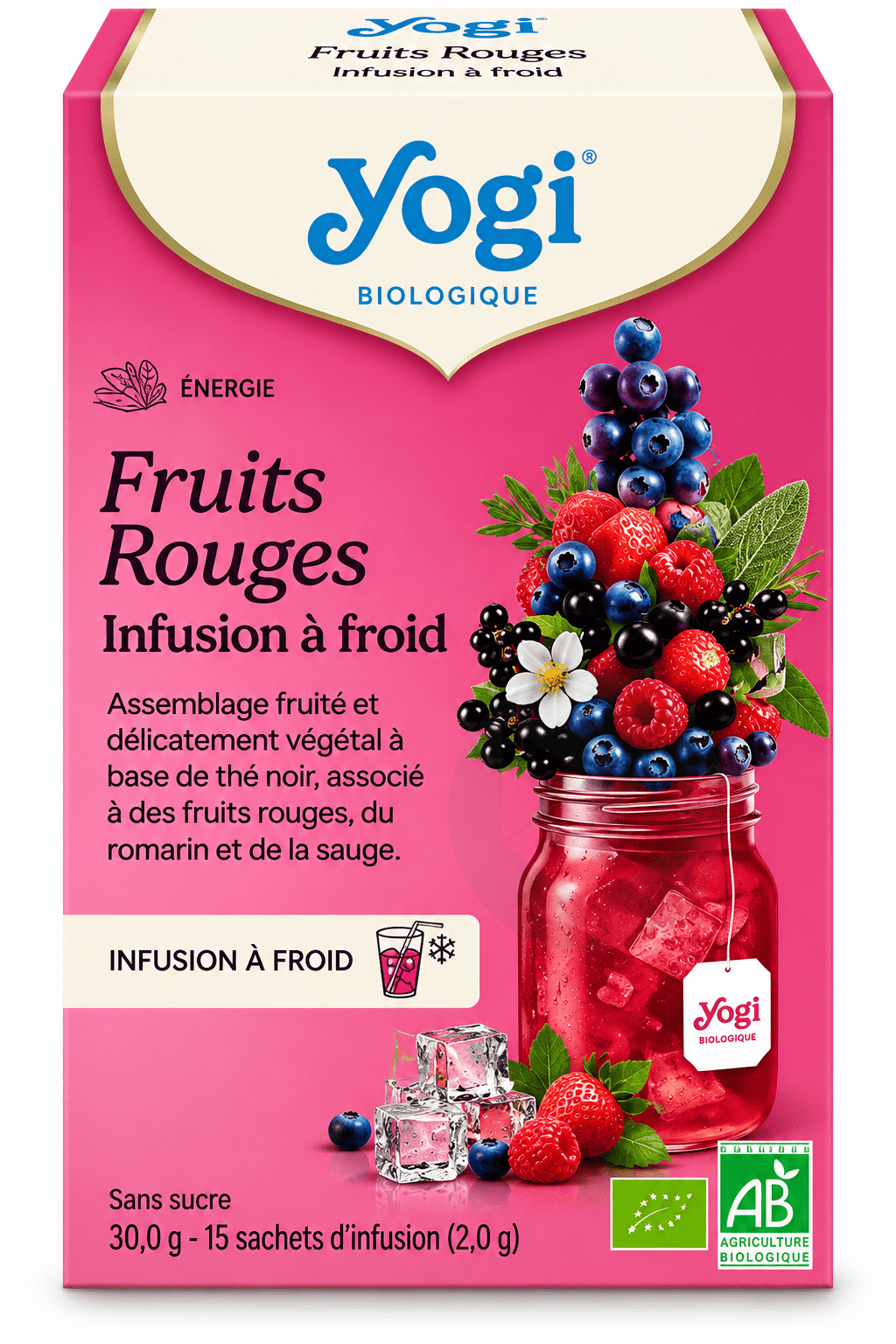 Infusion à Froid Fruits Rouges BIO 15 sachets