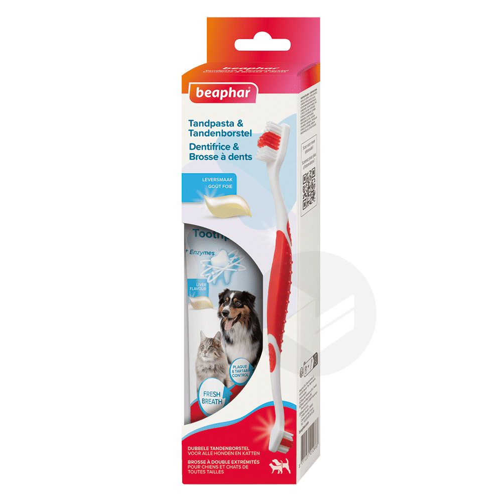 COMBI-PACK dentaire : Dentifrice + Brosse à dents