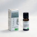 Huile essentielle biologique Gaulthérie 10ml