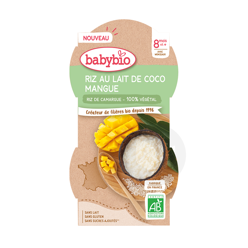 Riz au lait de Coco Mangue Pour Bébé 2x100g