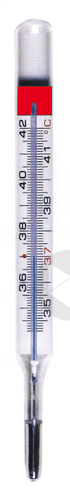 Thermomètre Gallium Torm